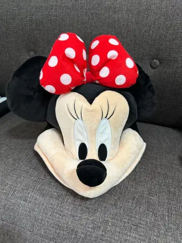 미니 팬 캡 디즈니