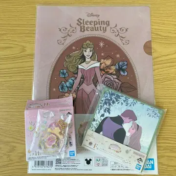 디즈니 프린세스 오로라 공주 제일복권