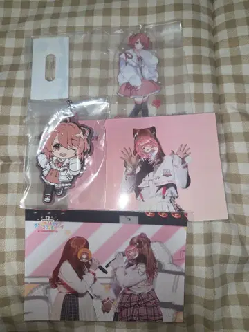 카라피치 노아 씨 세트