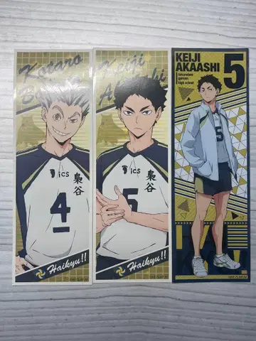 하이큐 보쿠토 아카아시