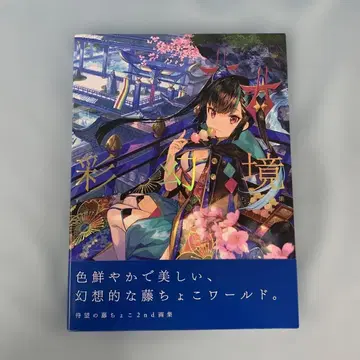 후지쵸코 화집 채환경