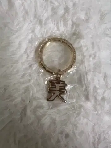 [미사용 새상품] 찬미나 미인 키링 조기 예약 특전 CHANMINA