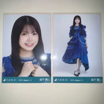 모리히라 레이신 노기자카46 브로마이드