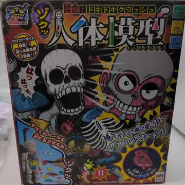 컬러풀 인체 모형 부품 포함 두근두근 크러쉬 완구