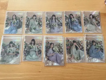 장미 세트 판매 가능 노기자카46 모바카