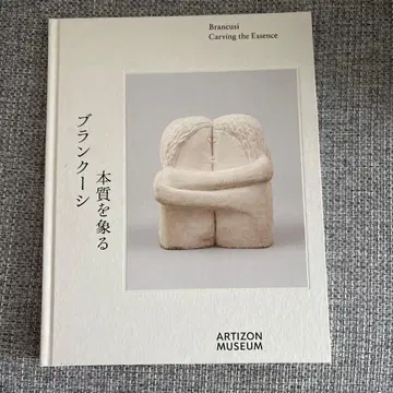 블랭크-시전 도록