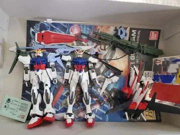 HG 퍼펙트 스트라이크 & EG 스트라이크 건담