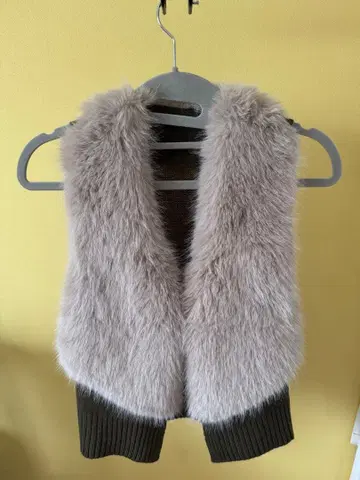 퍼 베스트 베스트 뷔스티에(택 포함)