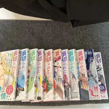 배신당한 S랭크 모험가인 나는, ~11권