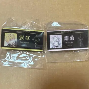 거품의 유크로니아 유크로 노란색 꽃잎 데이지 네임 배지