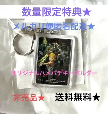 젤다 무쌍 봉인전기 특전 키링 이온 한정판 특전 조기 예약