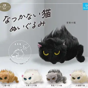 봉제 인형 전 5종 세트 길들여지지 않는 고양이 가챠