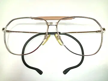 Nikon 빈티지 스포츠 프레임 SP309