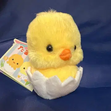 타마피요.베이비 LMC 사이즈 봉제 인형 마스코트 피요짱 미사용 새상품