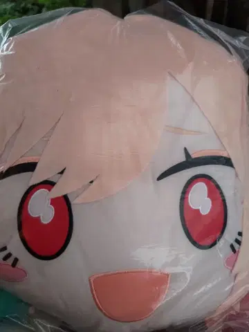 그 비스크 돌은 사랑을 한다 페이스 쿠션