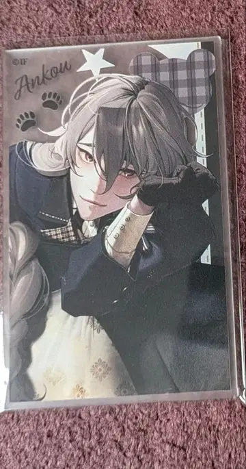 종원의 비르슈 아쿠카 겨울의 시 앙크