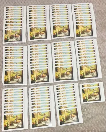 프로세카 파샤코레 6 묶음 판매 아즈사와 코하네