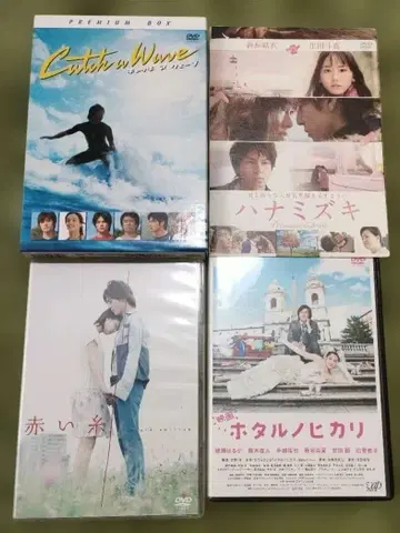 DVD 세트 4작품 캐치 웨이브 하나미즈키 외