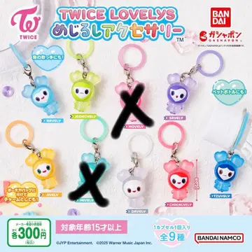 TWICE LOVELY 메지루시 액세서리