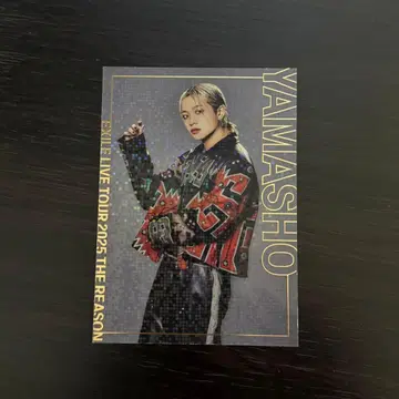 야마모토 쇼고 시크릿 트레이딩 카드