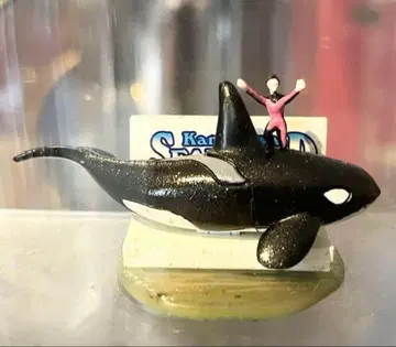 [ 또 다른 아쿠아리움 카모가와 씨월드 (레어) 범고래 랜딩 ]