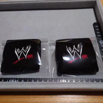 WWE 월드 레슬링 엔터테인먼트 리스트 밴드 2개 세트