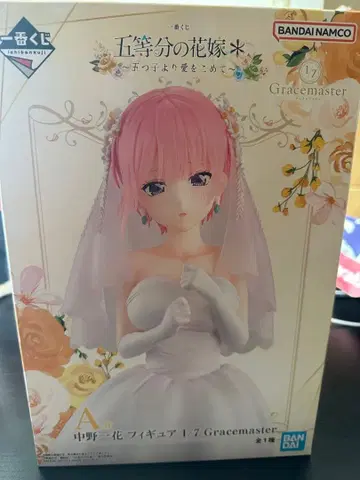나카노 니카 그레이스 마스터 1/7