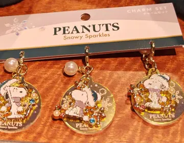 USJ 스누피 2025 크리스마스 참 세트