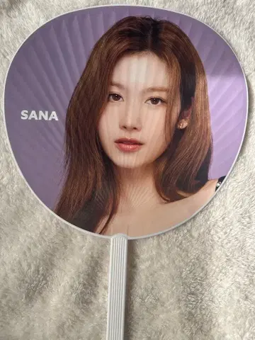 TWICE 사나 부채