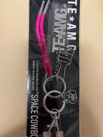 이와타 타카노리 SPACE COWBOY TEAM G 백참