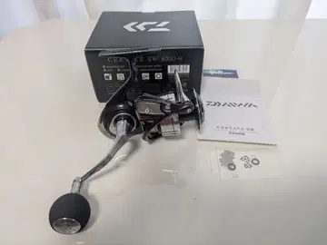 21 셀테이트 SW 6000-H