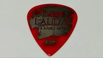 DIR EN GREY DIE 씨 사용 피크 전리품