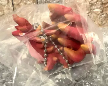 마법 생물 도감 화룡 판타지 월드 피규어 202511061250