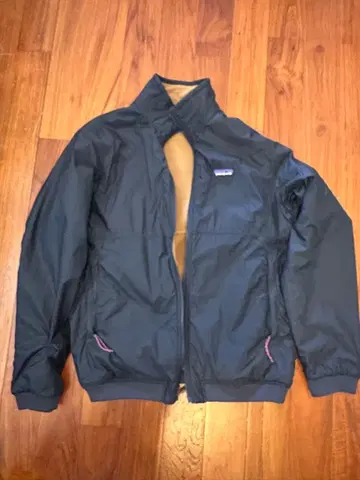 Patagonia 리버서블 쉘 마이크로 디니