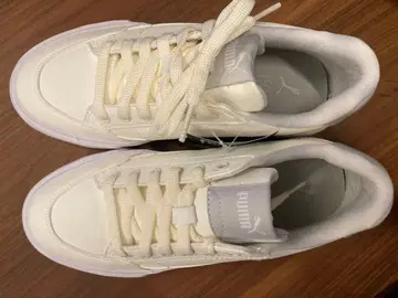 PUMA 코드 클래식 헐크 SL 400274 화이트 24cm