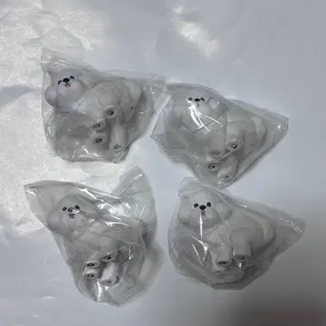 굼바리누 2 비숑 프리제 세트