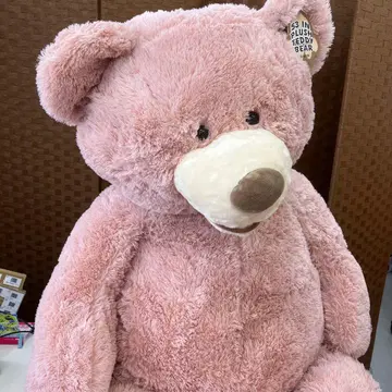 코스트코 커다란 핑크 곰 봉제 인형