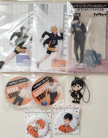 하이큐 히나타 카게야마 굿즈