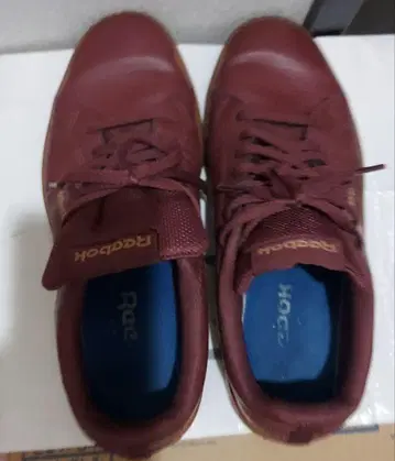 Reebok 남성용 버건디 스니커즈 25.5cm