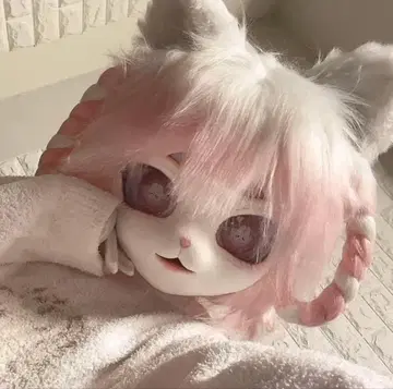 기모노 헤드 고양이