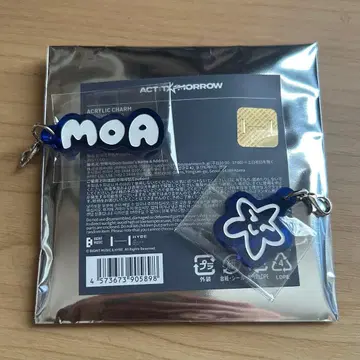 TXT ACT TOMORROW 아크릴 참 영준