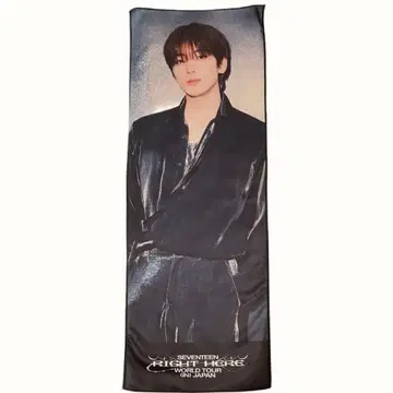 SEVENTEEN RIGHT HERE 타월 사진 슬로우건 원우