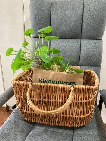 등나무 라탄 바스켓백 인테리어