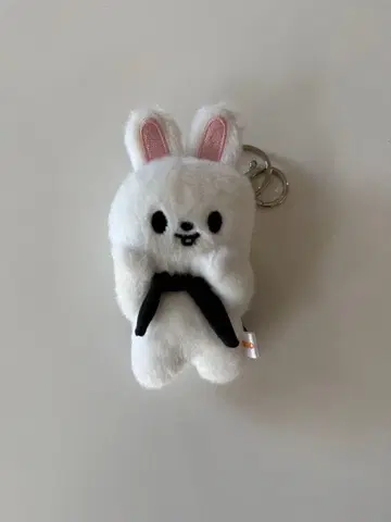 Straykids 리노 Leebit 마그넷 키링