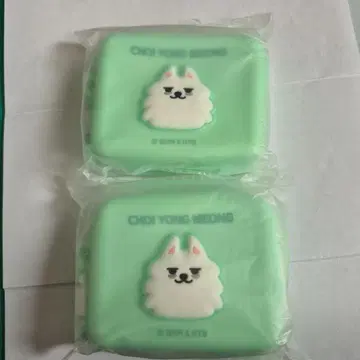 CHOI YONG MEONG 민트 그린 2세트