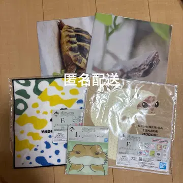 제일복권 파충류&양서류 F상 G상 I상