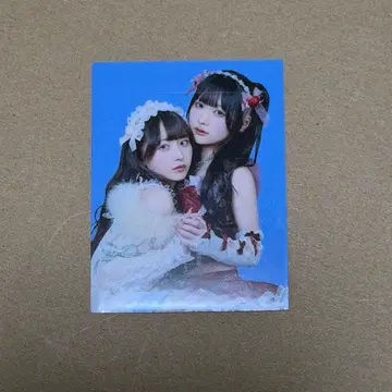 [레어] 증명사진 큐르시테 신기루 아뮤 시마무라 우타