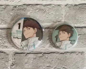 하이큐 난자타운 백귀야행 캔뱃지 오이카와 (등신 2종) 세트