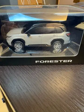 FORESTER 미니카