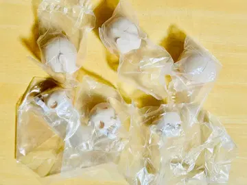 자크 사건 자크 이벤트(Zack Event) 블랭크 페이스 부품 3세트